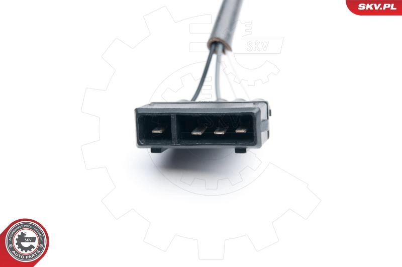 Oxygen Sensor